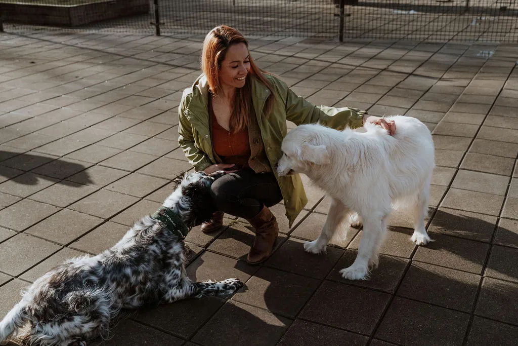 Foto van Alert Dierenhotel